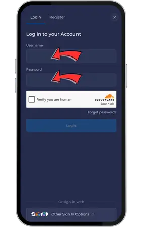 Rainbet Casino Email and Password Entry